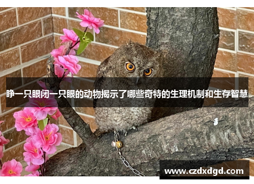睁一只眼闭一只眼的动物揭示了哪些奇特的生理机制和生存智慧